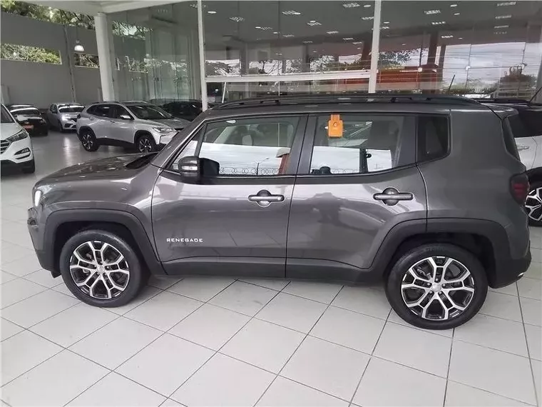 Jeep Renegade Cinza 7