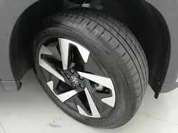 Volkswagen Tera