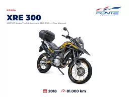 XRE 300