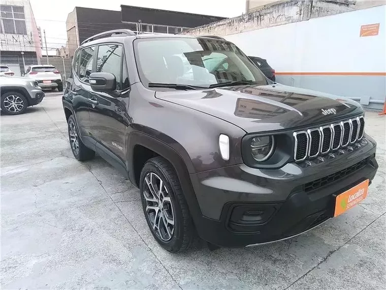 Jeep Renegade Cinza 3