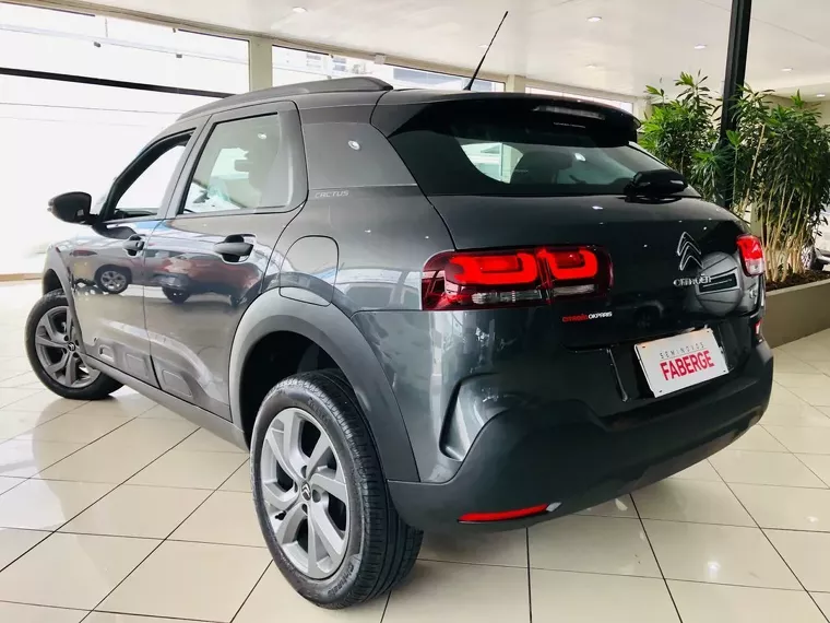 Citroën C4 Cactus Cinza 2