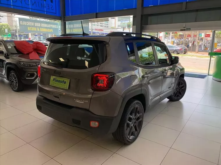 Jeep Renegade Cinza 5