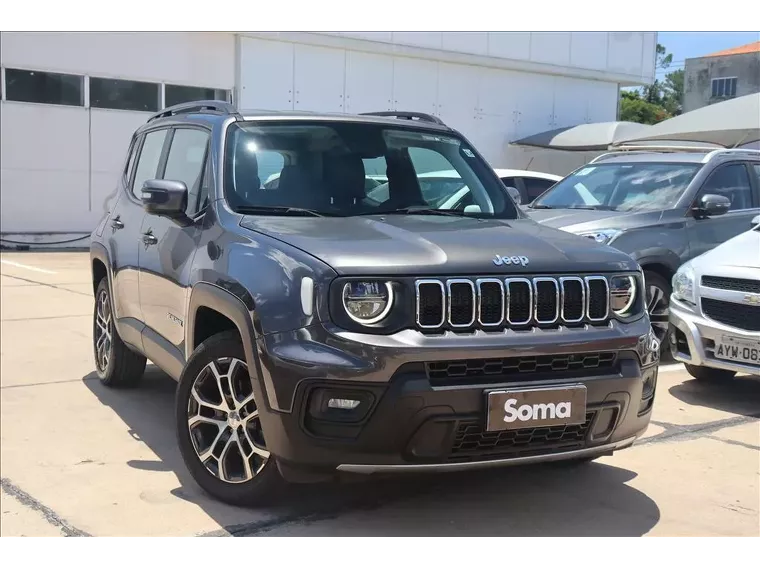 Jeep Renegade Cinza 1