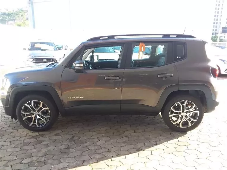 Jeep Renegade Cinza 1