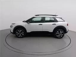 C4 Cactus