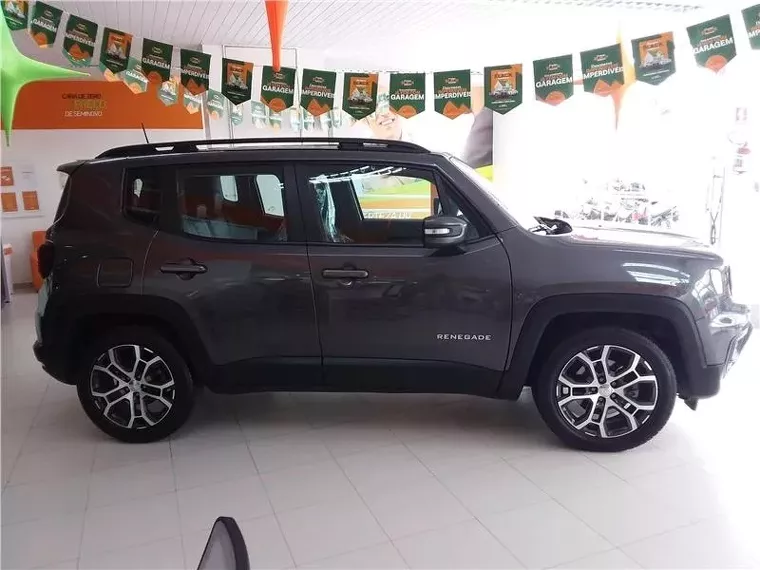 Jeep Renegade Cinza 3