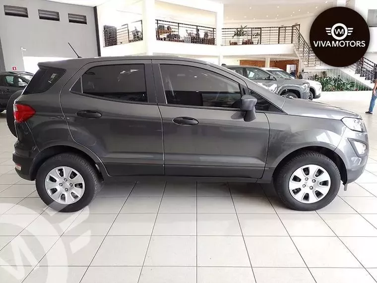 Ford Ecosport Cinza 2