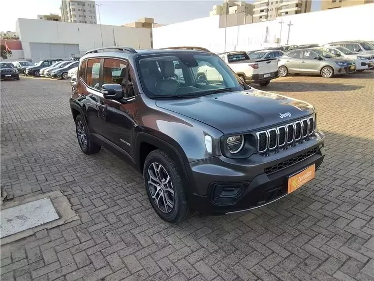 Jeep Renegade Cinza 3