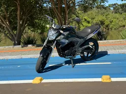 YS 250