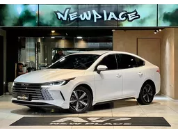 BYD King