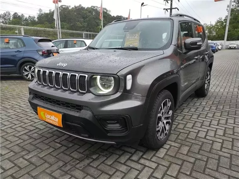 Jeep Renegade Cinza 11