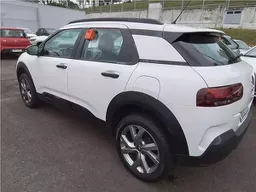 C4 Cactus