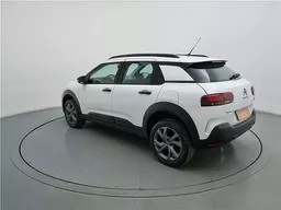 C4 Cactus