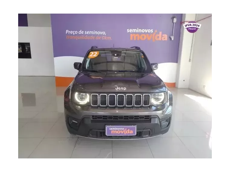 Jeep Renegade Cinza 4