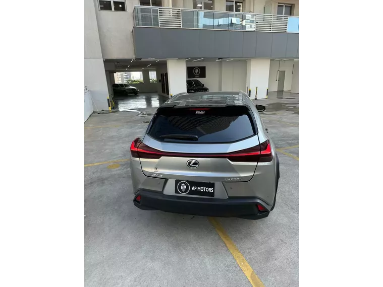 Lexus UX 250H Cinza 4