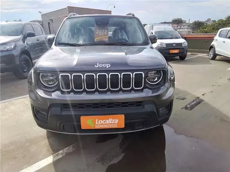 Jeep Renegade Cinza 6