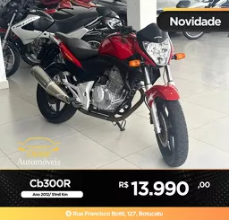 CB 300