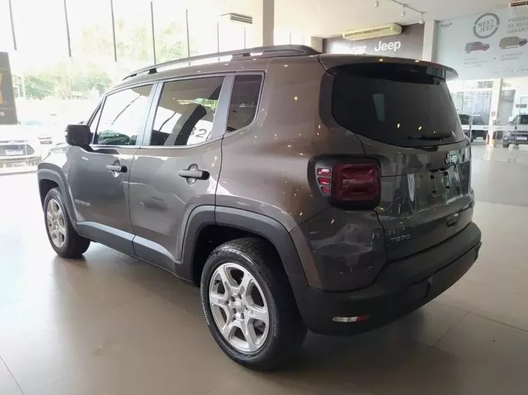 Jeep Renegade Cinza 14