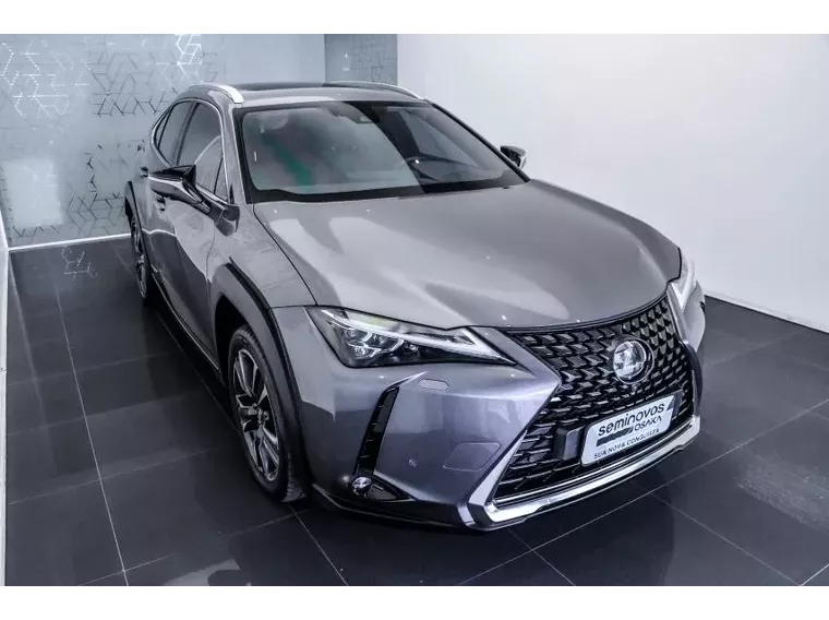 Lexus UX 250H Cinza 14