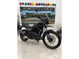 Himalayan