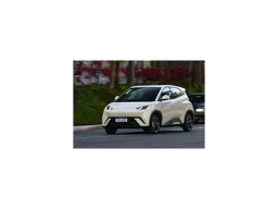 BYD Dolphin Mini