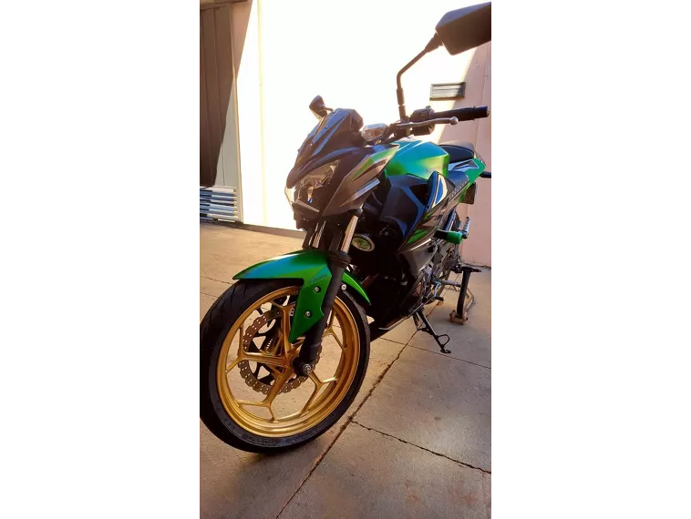 Kawasaki Z Verde 3