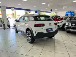 C4 Cactus