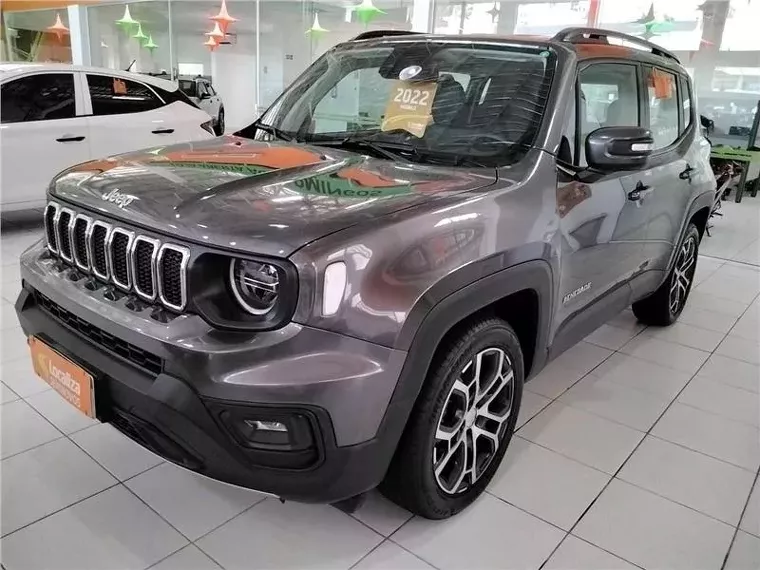 Jeep Renegade Cinza 6