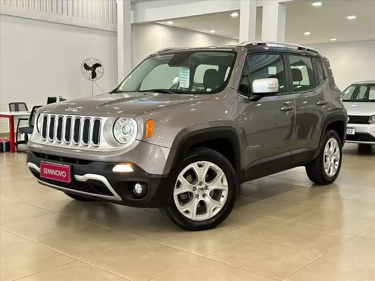 Jeep Renegade Cinza 3