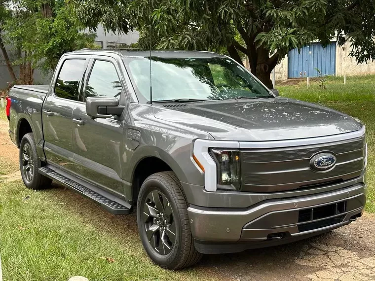 Ford F-150 Cinza 18