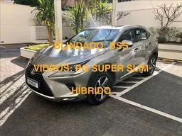 Lexus NX 300H
