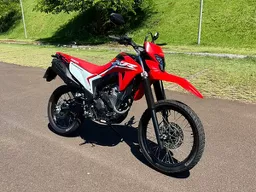 XR 300L