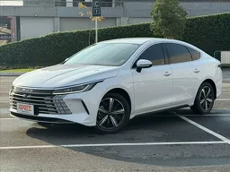 BYD King