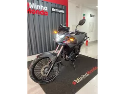 XR 300
