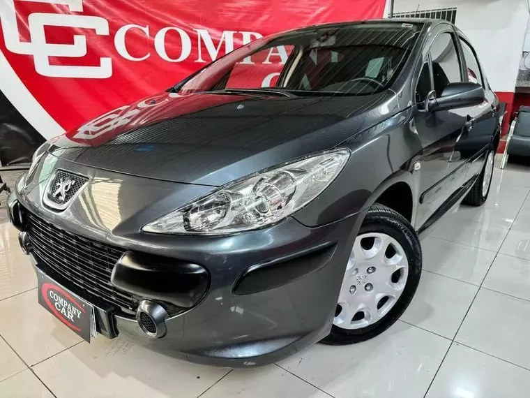 Peugeot 307 Cinza 1