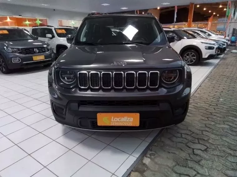 Jeep Renegade Cinza 2