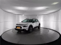 C4 Cactus