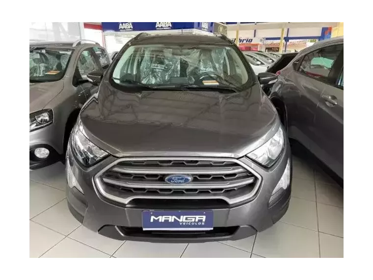 Ford Ecosport Cinza 2