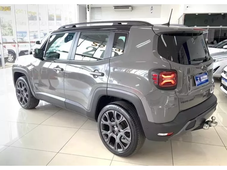 Jeep Renegade Cinza 8