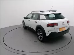 C4 Cactus