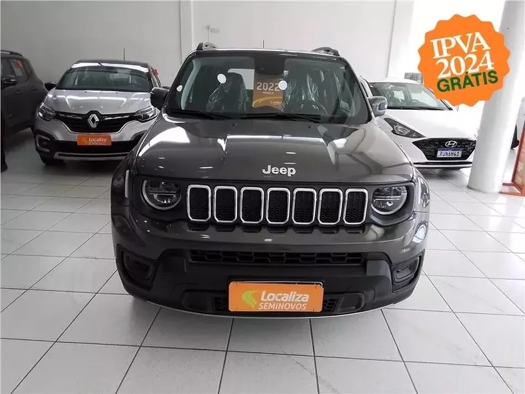 Jeep Renegade Cinza 1