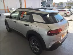 C4 Cactus