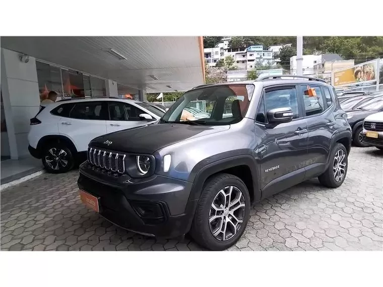 Jeep Renegade Cinza 8