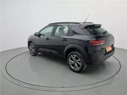 C4 Cactus