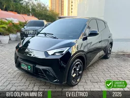 BYD Dolphin