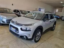 C4 Cactus