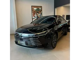 BYD King