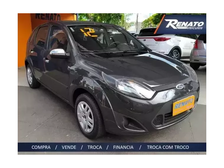 Ford Fiesta Cinza 1