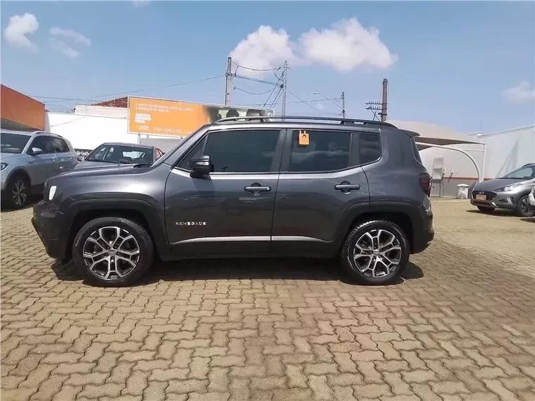 Jeep Renegade Cinza 1