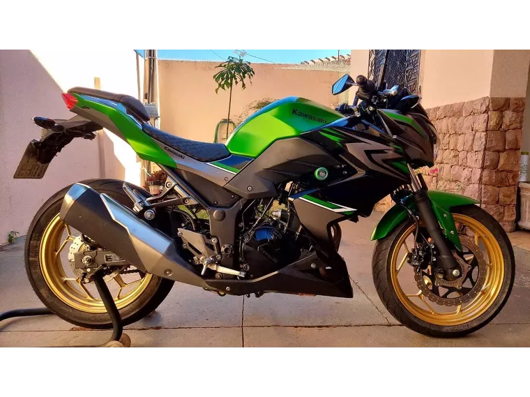 Kawasaki Z Verde 12